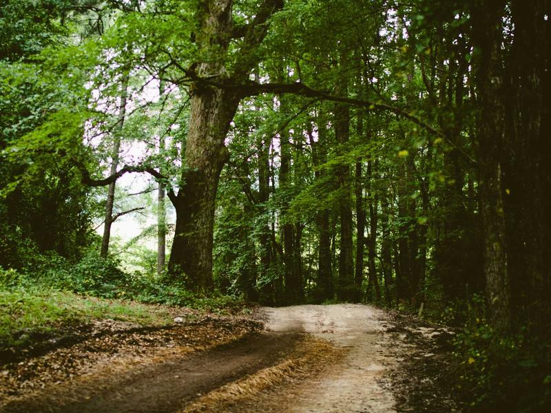 sudoku pattern learning
